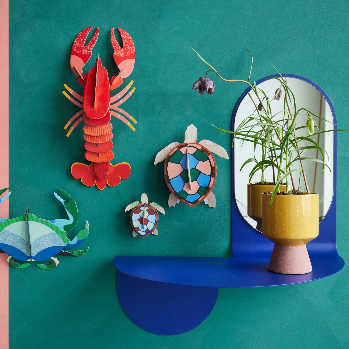 Studio Roof Wall Art Sea Creatures (A4) Sea Turtles