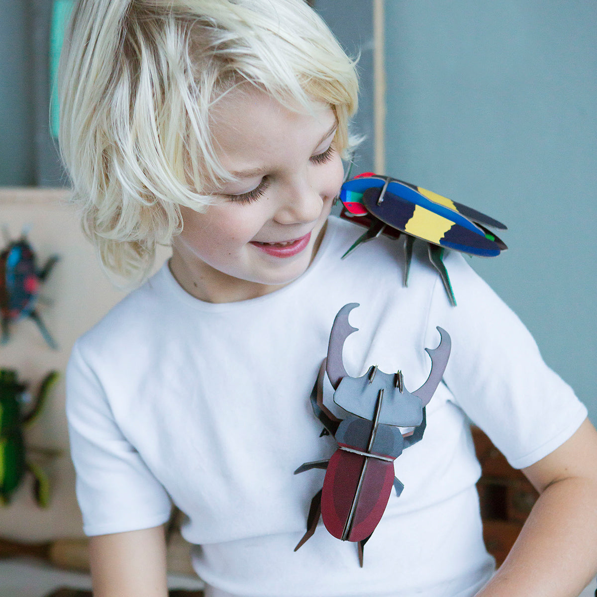 Studio Roof Wall Art Beetles (B7) Stag Beetle