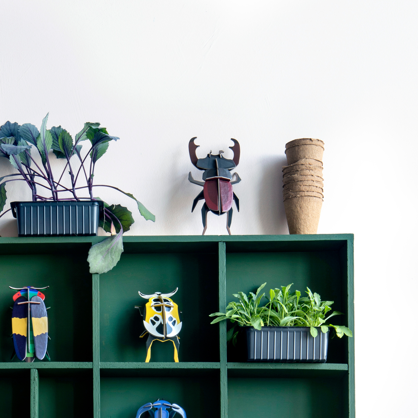 Studio Roof Wall Art Beetles (B7) Stag Beetle